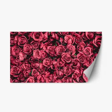 Repositionierbarer Aufkleber pralle rote rosen wandbild – Pixers®