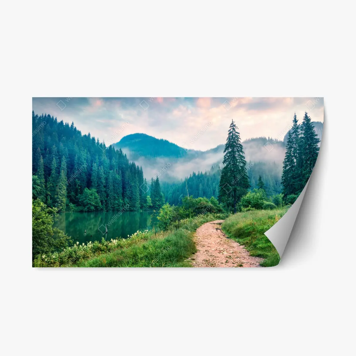 Repositionierbarer Aufkleber nebliger morgen am Lacu Roșu – Pixers®