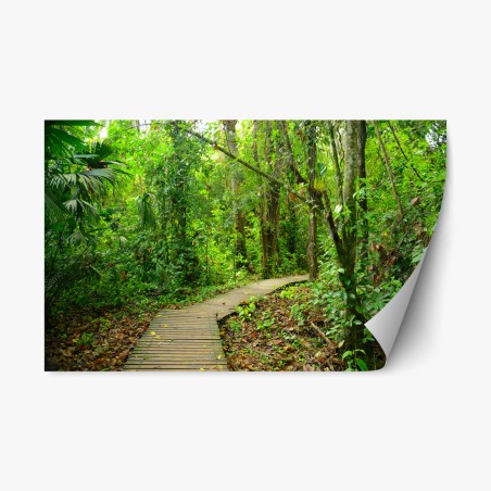 Repositionierbarer Aufkleber tropischer steg im üppigen wald – Pixers®