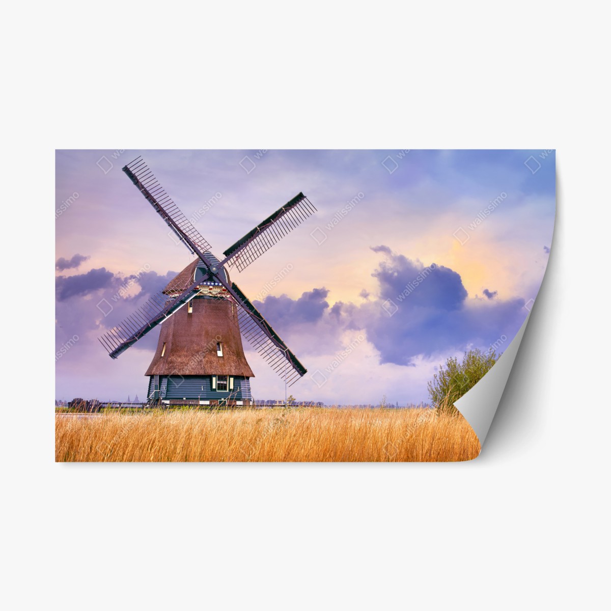 Repositionierbarer Aufkleber historische windmühle auf goldenen feldern – Pixers®