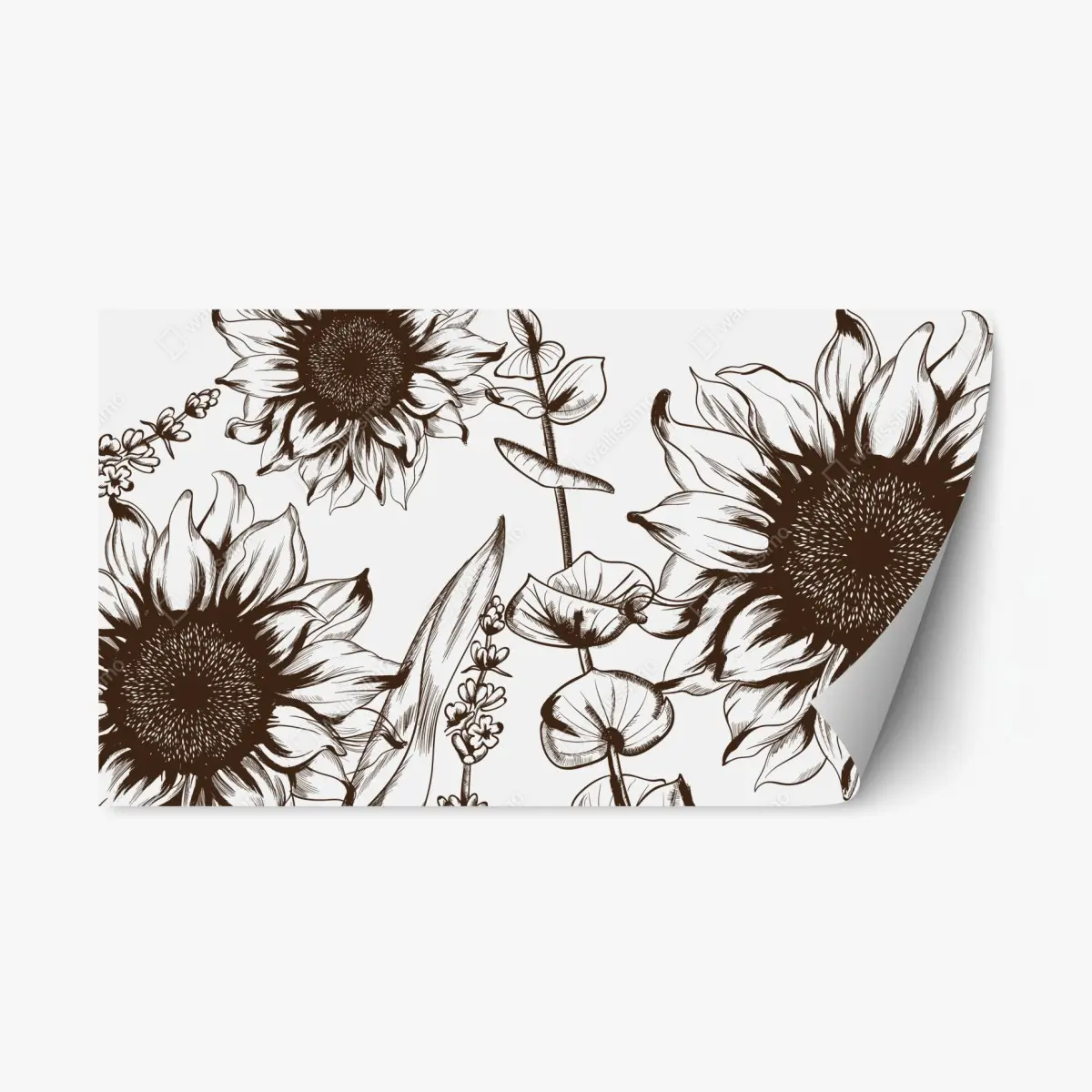 Repositionierbarer Aufkleber botanische sonnenblumenillustration in sepia – Pixers®