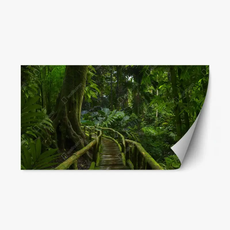 Repositionierbarer Aufkleber ruhiger dschungelsteg durch üppigen regenwald