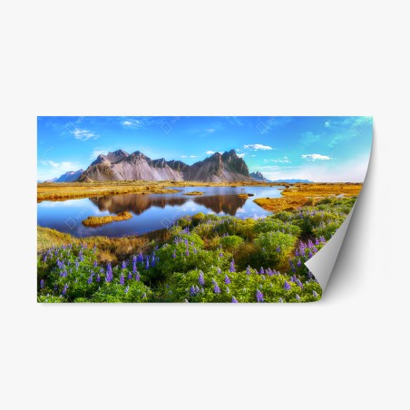 Repositionierbarer Aufkleber lebendige lupinenwiesen bei Vestrahorn, Island – Pixers®