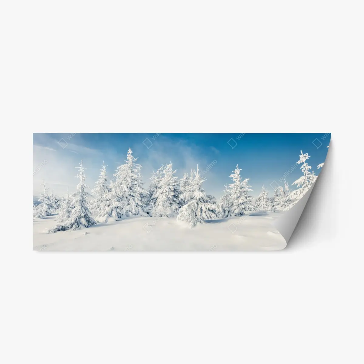 Repositionierbarer Aufkleber panorama verschneiten waldes – Pixers®