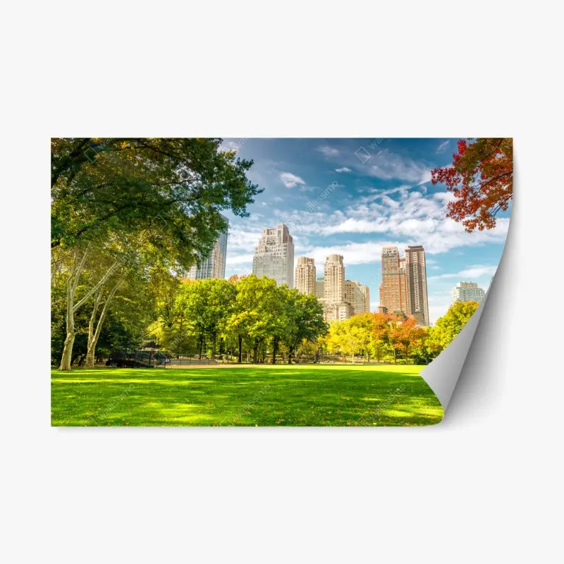 Repositionierbarer Aufkleber Central Park herbst panorama