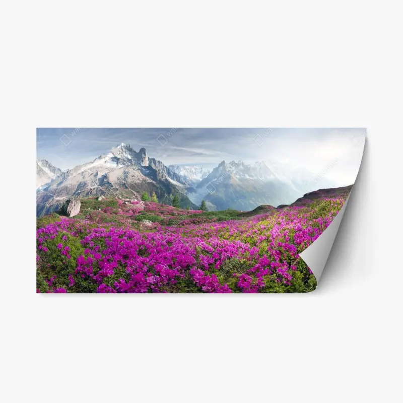 Repositionierbarer Aufkleber alpine rhododendronwiese bei Mont Blanc