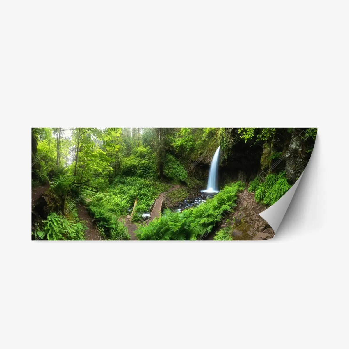 Repositionierbarer Aufkleber üppiger waldwasserfall panorama – Pixers®