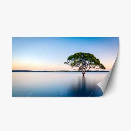 Repositionierbarer Aufkleber einsamer baum am stillen see – Pixers®