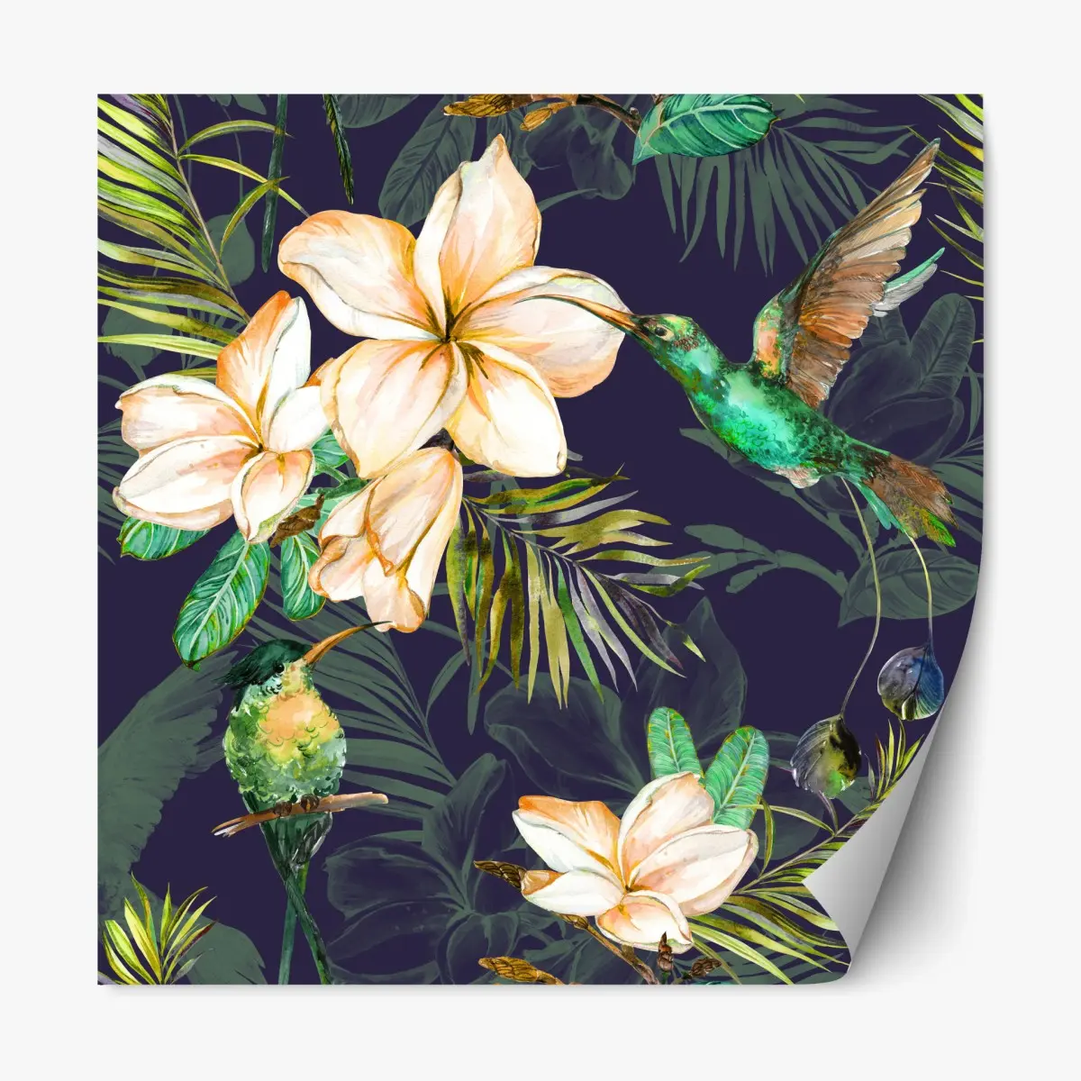 Repositionierbarer Aufkleber tropische kolibris und plumeria in aquarell – Pixers®