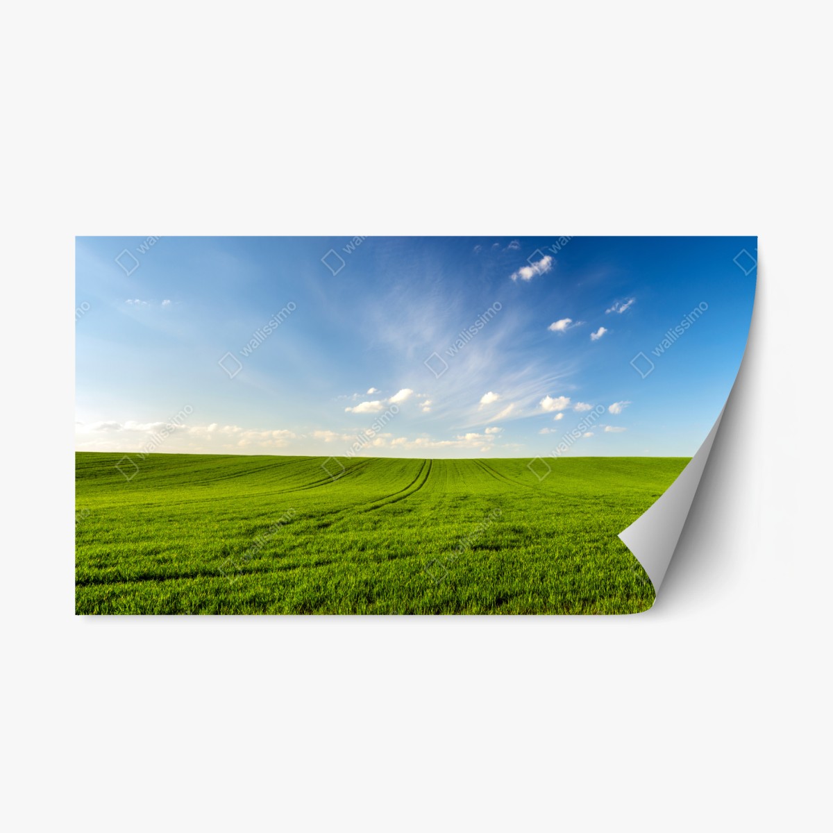 Repositionierbarer Aufkleber frühlingsgrüne wiesenpanorama – Pixers®