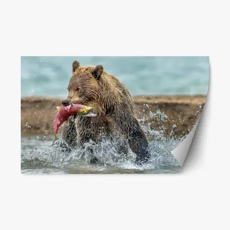 Repositionierbarer Aufkleber braunbär fängt lachs im fluss – Pixers®