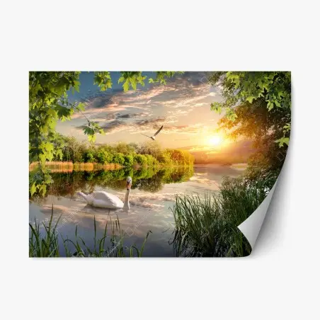 Repositionierbarer Aufkleber sonnenuntergang mit schwan auf stillem see – Pixers®