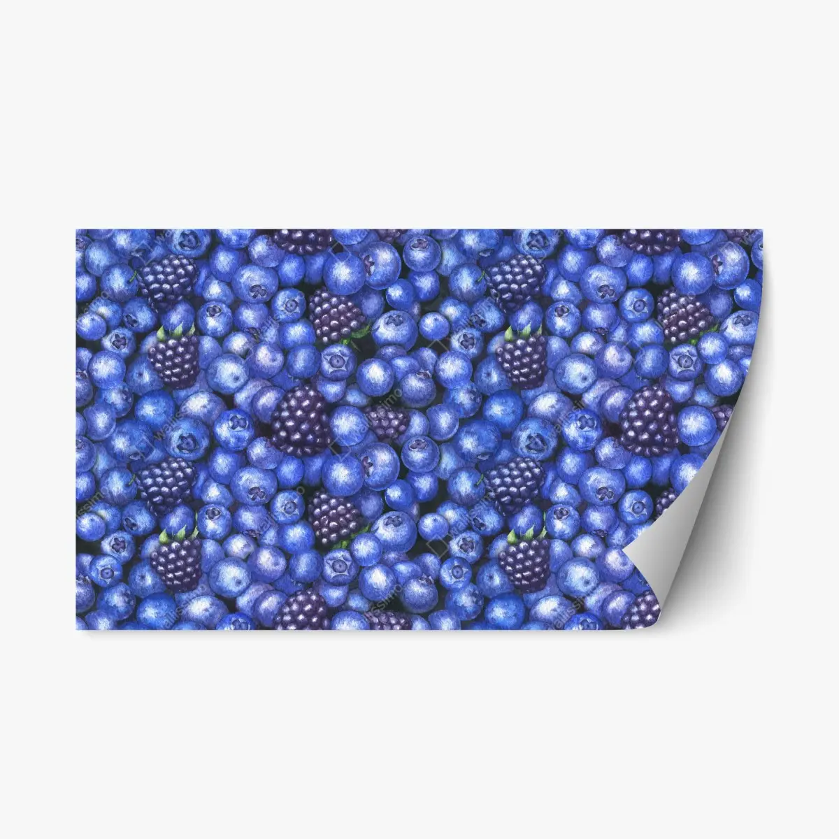 Repositionierbarer Aufkleber aquarellmuster mit blaubeeren und brombeeren – Pixers®