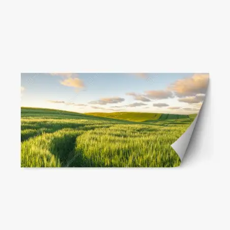 Repositionierbarer Aufkleber ruhige grüne wiesen panorama – Pixers®