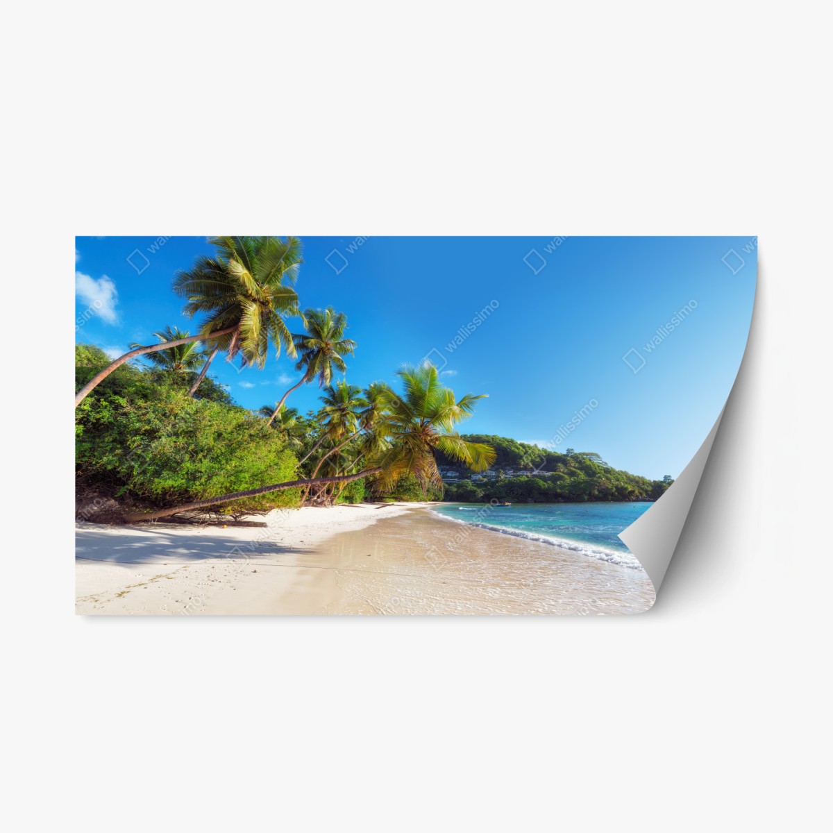 Repositionierbarer Aufkleber tropischer palmstrand – Pixers®