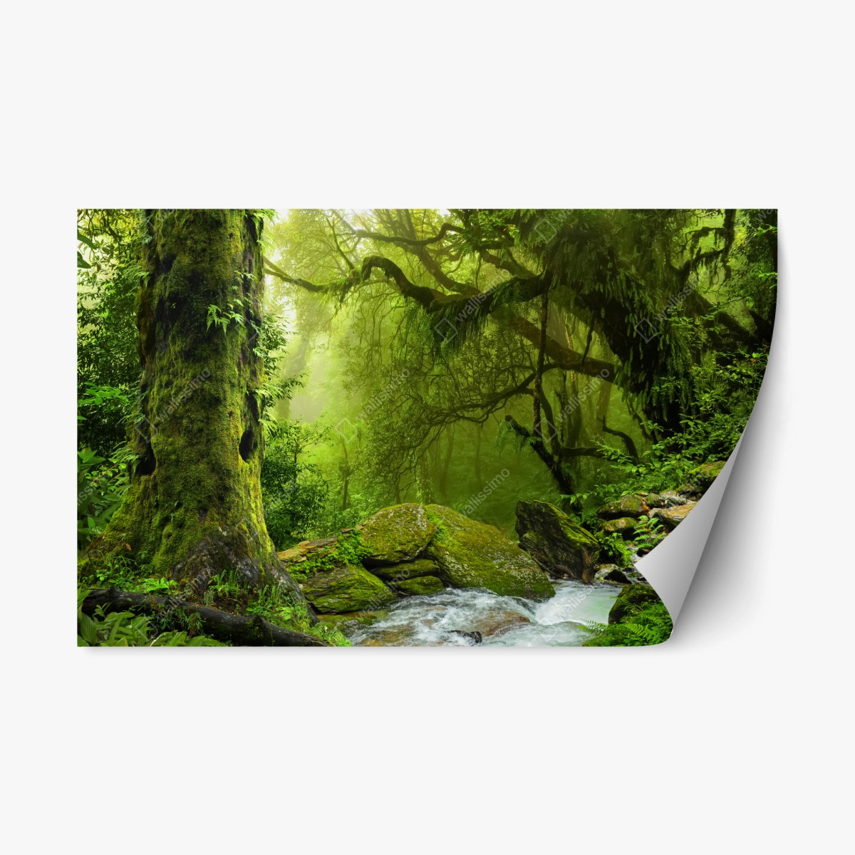 Repositionierbarer Aufkleber verzauberter grüner waldbach – Pixers®