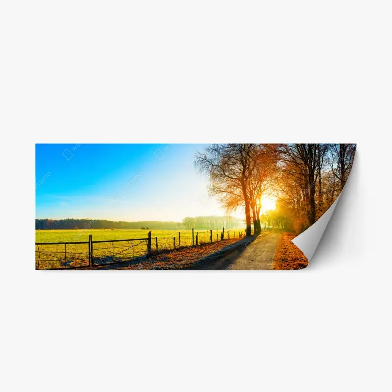 Repositionierbarer Aufkleber sonnenbeschienener landweg durch herbstliche wiese
