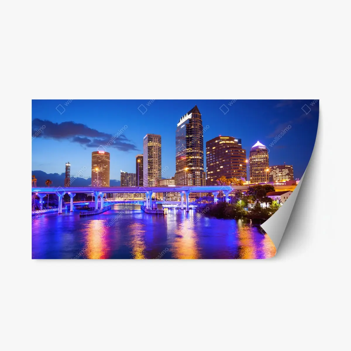Repositionierbarer Aufkleber Tampa skyline bei nacht – Pixers®