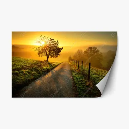 Repositionierbarer Aufkleber sonnenbeschienener landweg durch die morgenwiese – Pixers®