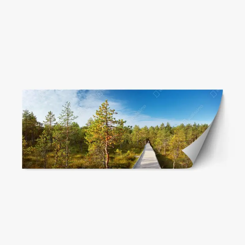 Repositionierbarer Aufkleber sonniger steg durch den kiefernwald
