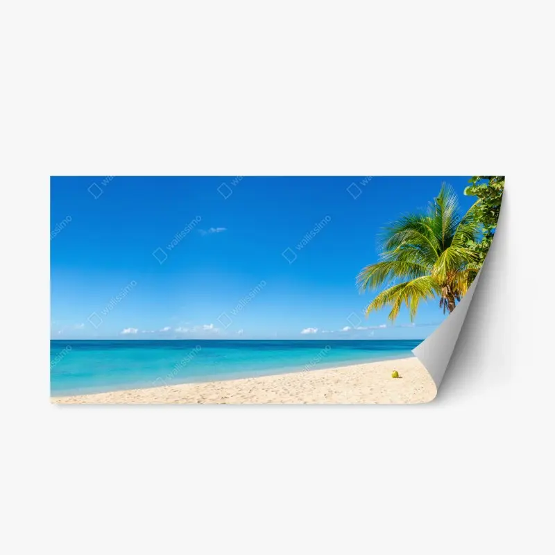 Repositionierbarer Aufkleber tropischer strand mit türkiswasser und palme