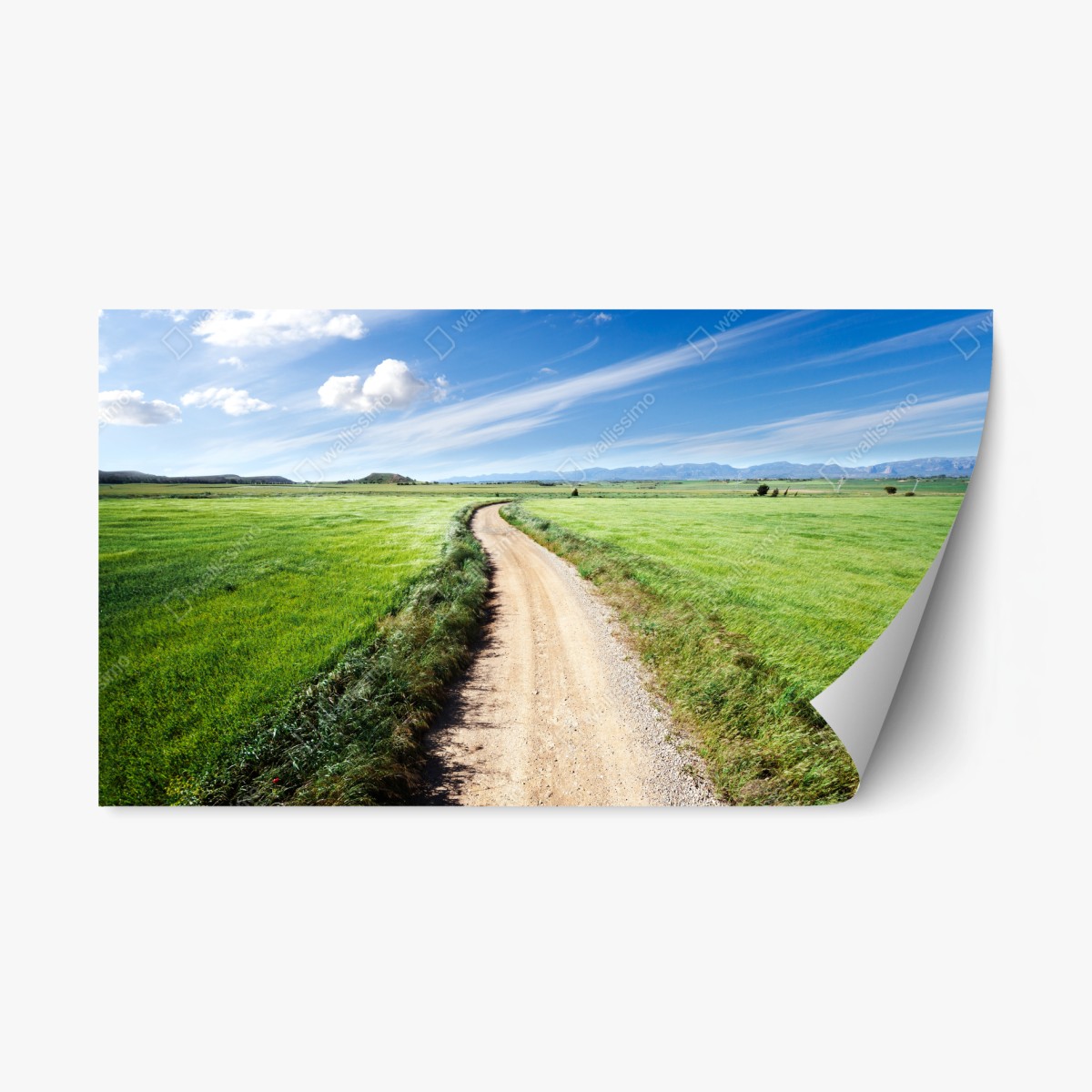 Repositionierbarer Aufkleber gewundener landweg durch grüne wiesen – Pixers®
