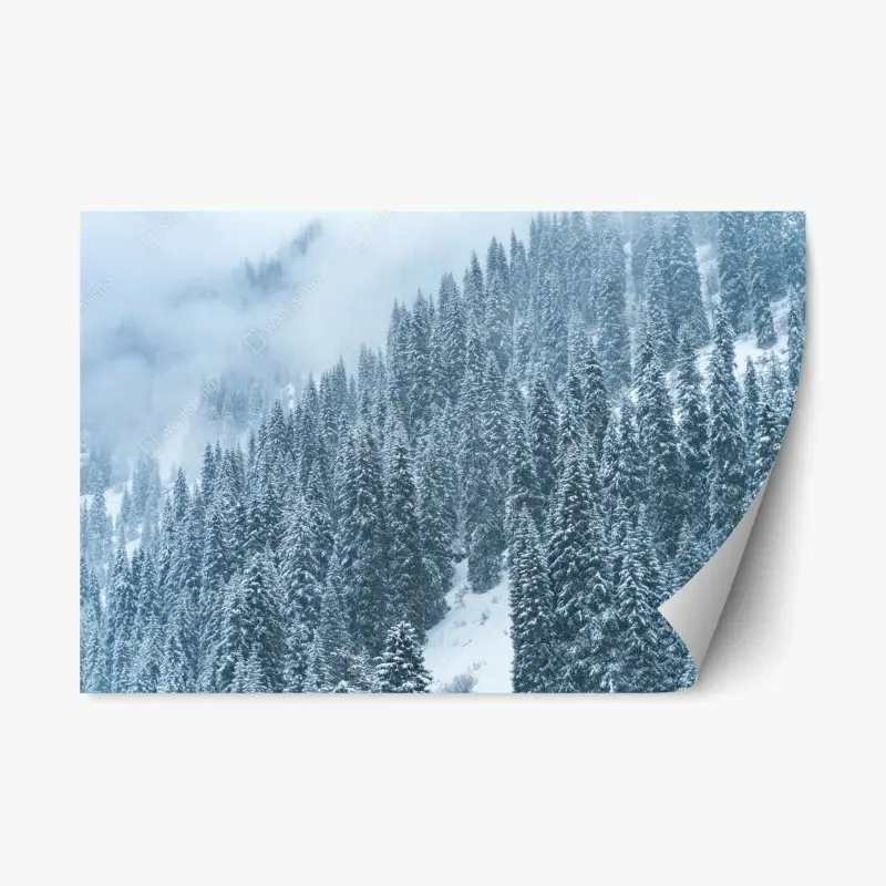 Repositionierbarer Aufkleber nebeliger schneebedeckter kiefernwald