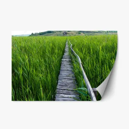 Repositionierbarer Aufkleber ruhiger grüner steg durch schilfland zur rustikalen hütte – Pixers®