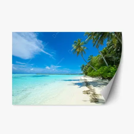 Repositionierbarer Aufkleber tropischer strand auf den Malediven – Pixers®