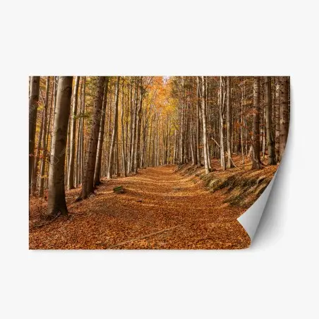 Repositionierbarer Aufkleber herbstlicher waldweg mit goldenen blättern – Pixers®