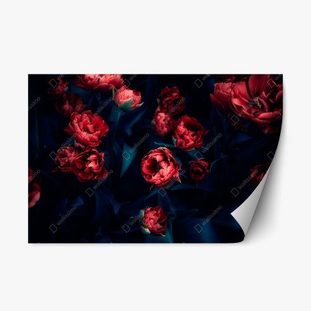 Repositionierbarer Aufkleber dunkler roter tulpenstrauß – Pixers®