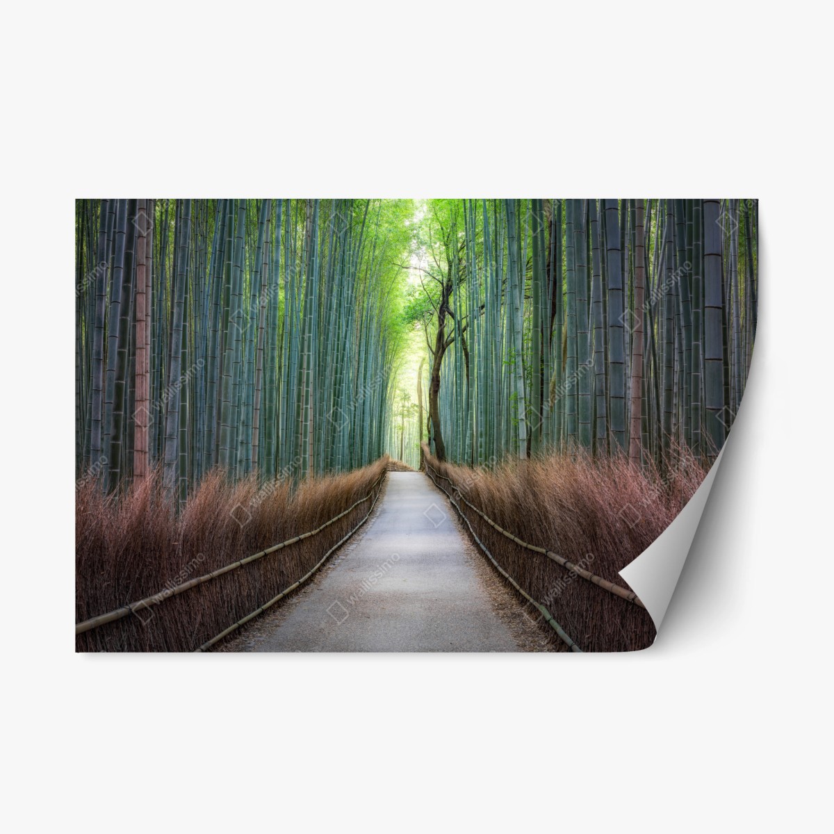Repositionierbarer Aufkleber ruhiger bambuswaldweg – Pixers®