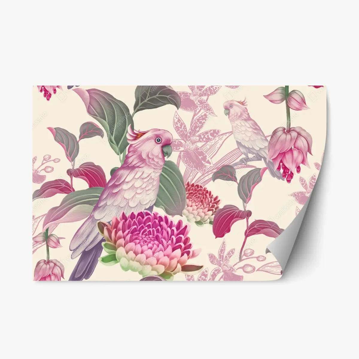 Repositionierbarer Aufkleber rosa papagei und chrysantheme - botanisches motiv – Pixers®