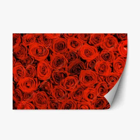 Repositionierbarer Aufkleber prächtiger strauß roter rosen – Pixers®