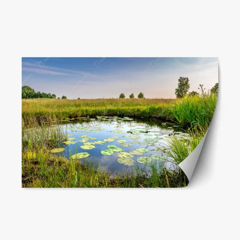Repositionierbarer Aufkleber ruhiger seerosen-teich in der wiese
