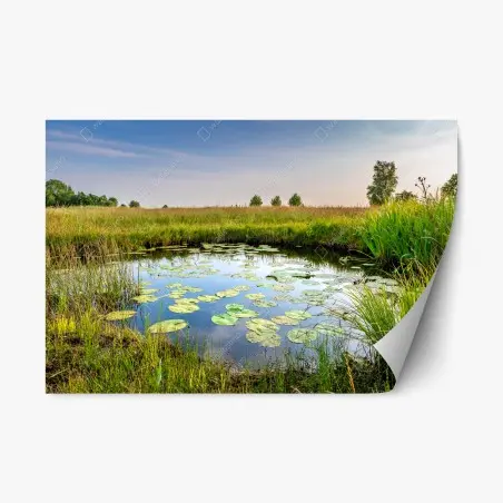 Repositionierbarer Aufkleber ruhiger seerosen-teich in der wiese – Pixers®