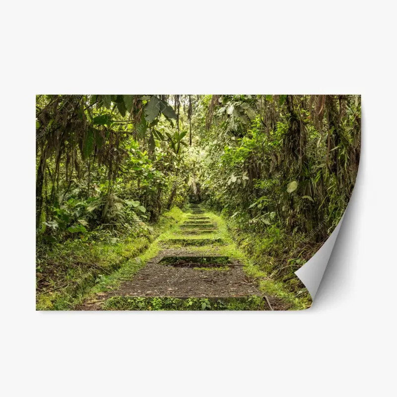 Repositionierbarer Aufkleber pfad durch üppigen dschungel
