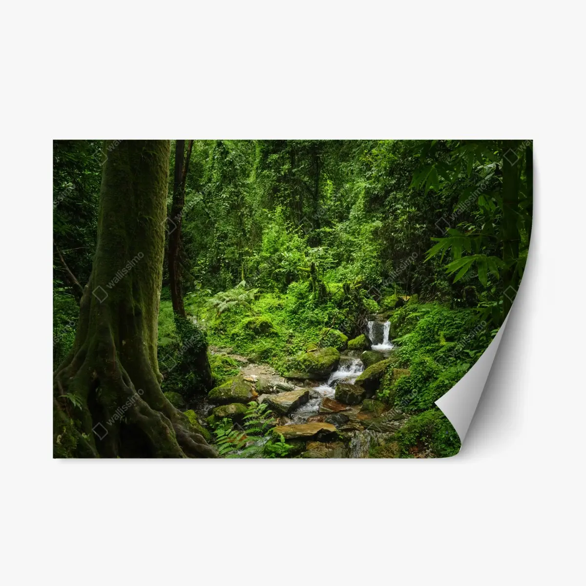Repositionierbarer Aufkleber üppiger grüner waldwasserfall – Pixers®