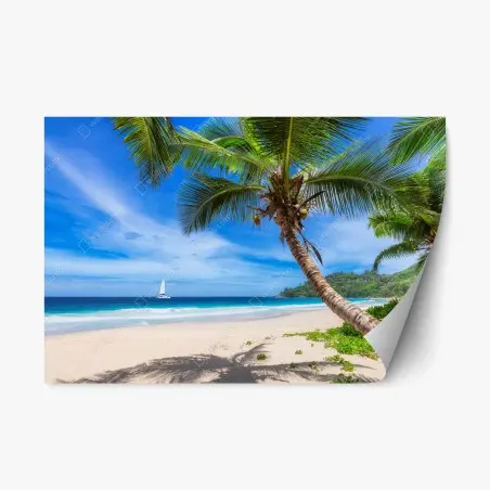 Repositionierbarer Aufkleber tropischer strand mit palme – Pixers®