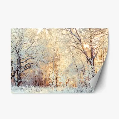 Repositionierbarer Aufkleber wintersonne im verschneiten wald – Pixers®