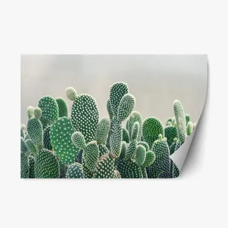 Repositionierbarer Aufkleber nahaufnahme eines opuntienkaktus – Pixers®