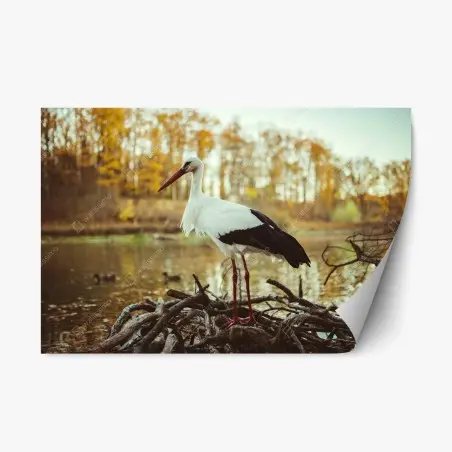 Repositionierbarer Aufkleber weißer storch am herbstlichen see – Pixers®