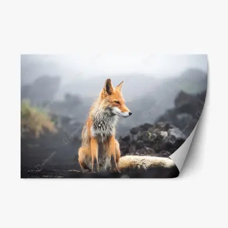 Repositionierbarer Aufkleber roter fuchs in nebliger landschaft – Pixers®