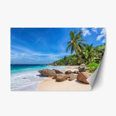 Repositionierbarer Aufkleber tropischer palmenstrand – Pixers®