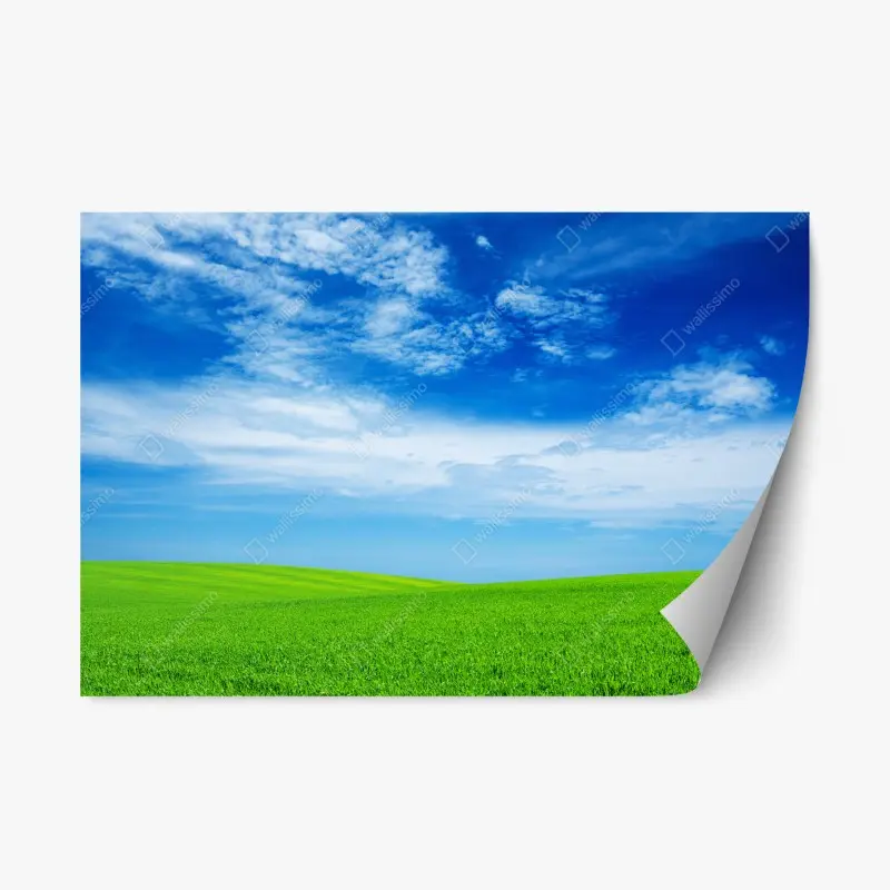 Repositionierbarer Aufkleber grüne wiese unter blauem himmel