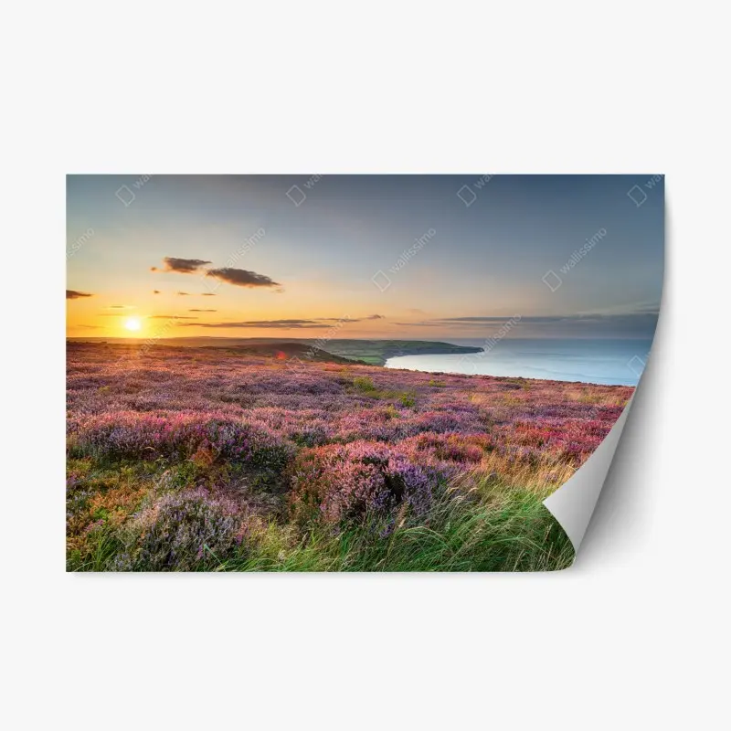Repositionierbarer Aufkleber sonnenuntergang über der heide auf den North York Moors