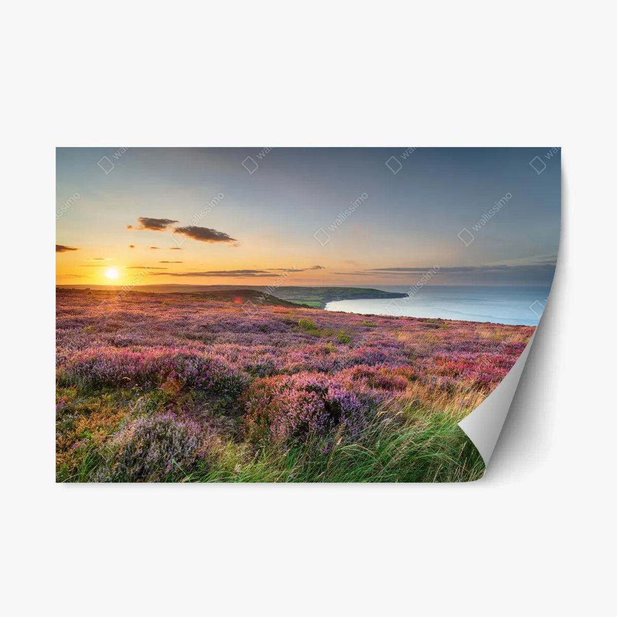 Repositionierbarer Aufkleber sonnenuntergang über der heide auf den North York Moors – Pixers®