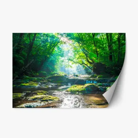 Repositionierbarer Aufkleber sonnendurchfluteter waldbach mit moosbedeckten steinen – Pixers®