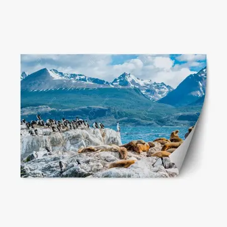 Repositionierbarer Aufkleber seelöwen und seevögel an der felsküste – Pixers®
