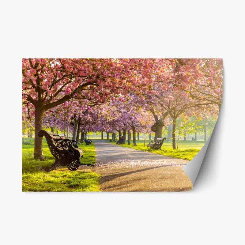 Repositionierbarer Aufkleber kirschblütenallee im frühling
